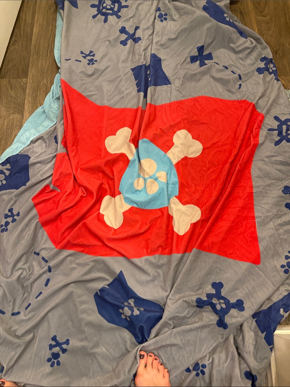 PAW patrol Pirate Skull Print Plush Throw Blanket - Gray & Red add freebies